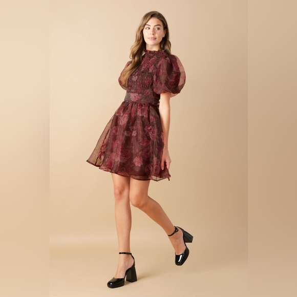 FLITTERING DREAMS WOVEN ORGANZA MINI DRESS (NWOT) - Picture 2 of 5